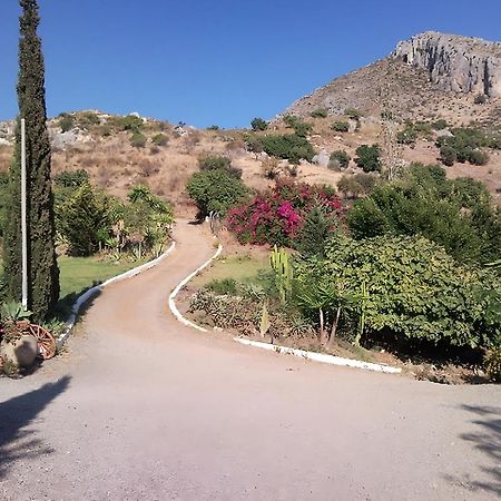 Finca Santa Matilde Malaga Bagian luar foto