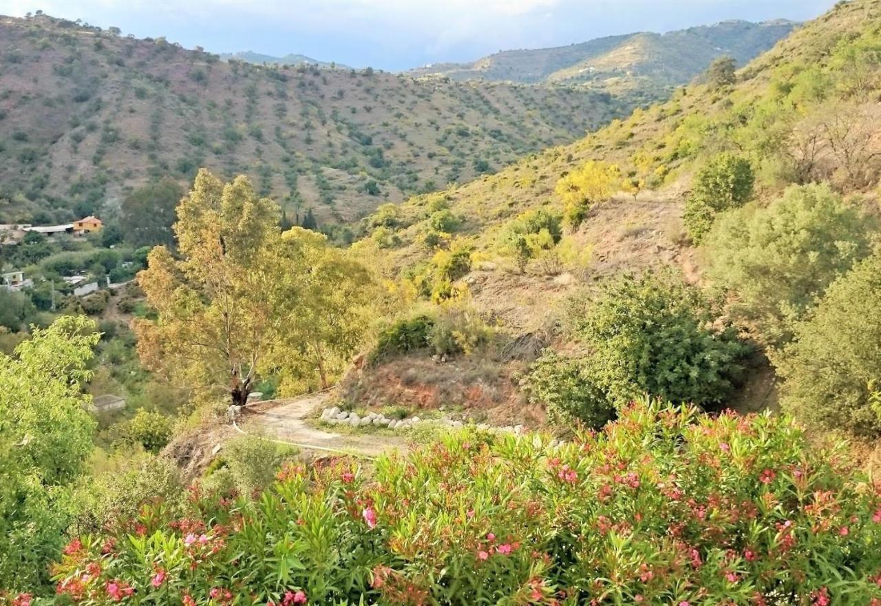 Finca Santa Matilde Malaga Bagian luar foto