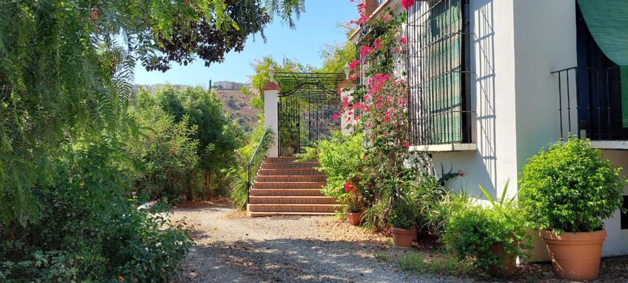 Finca Santa Matilde Malaga Bagian luar foto