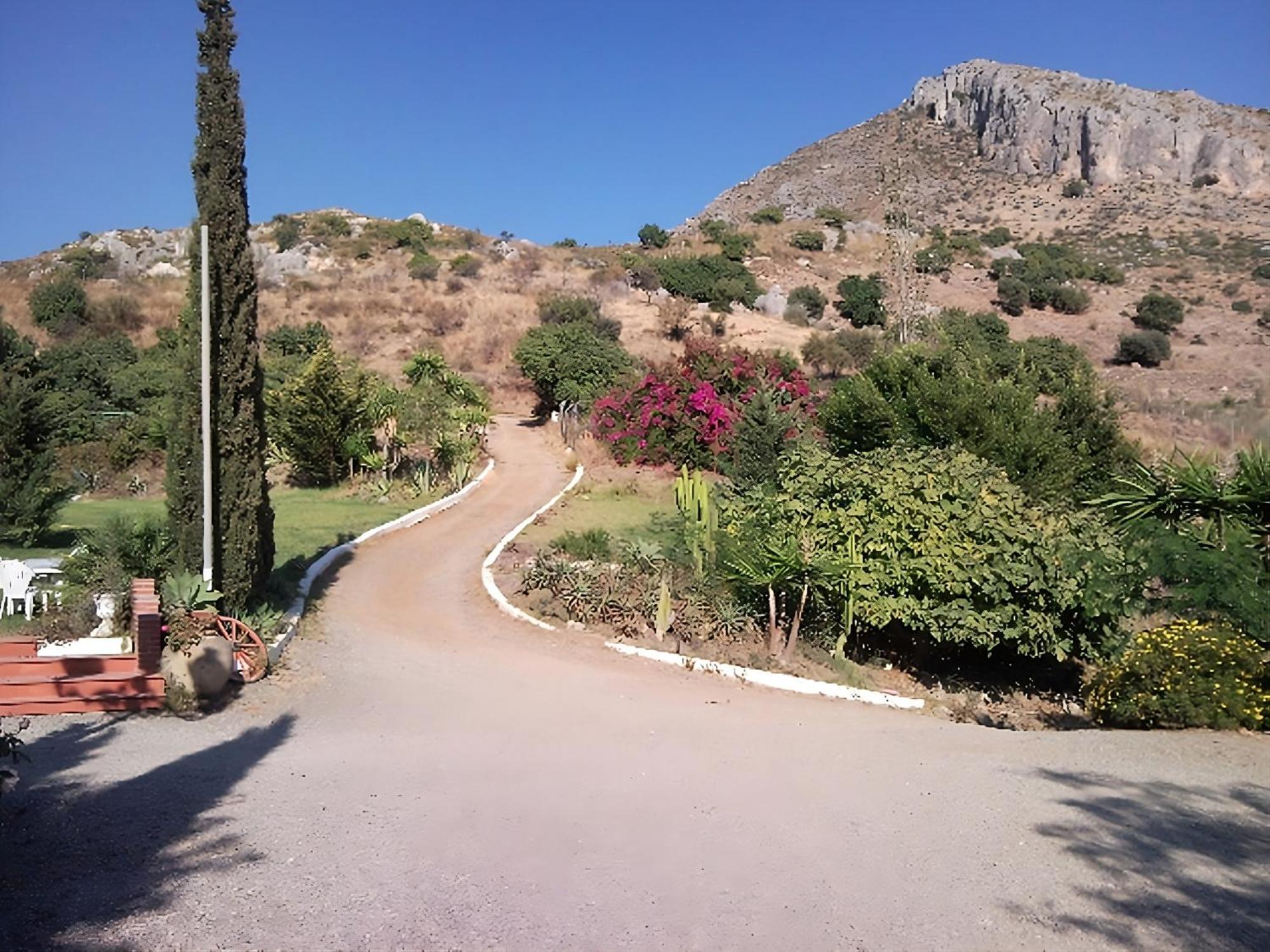 Finca Santa Matilde Malaga Bagian luar foto